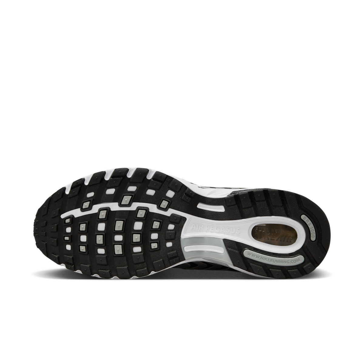 Men's Air Pegasus 2005 Shoes