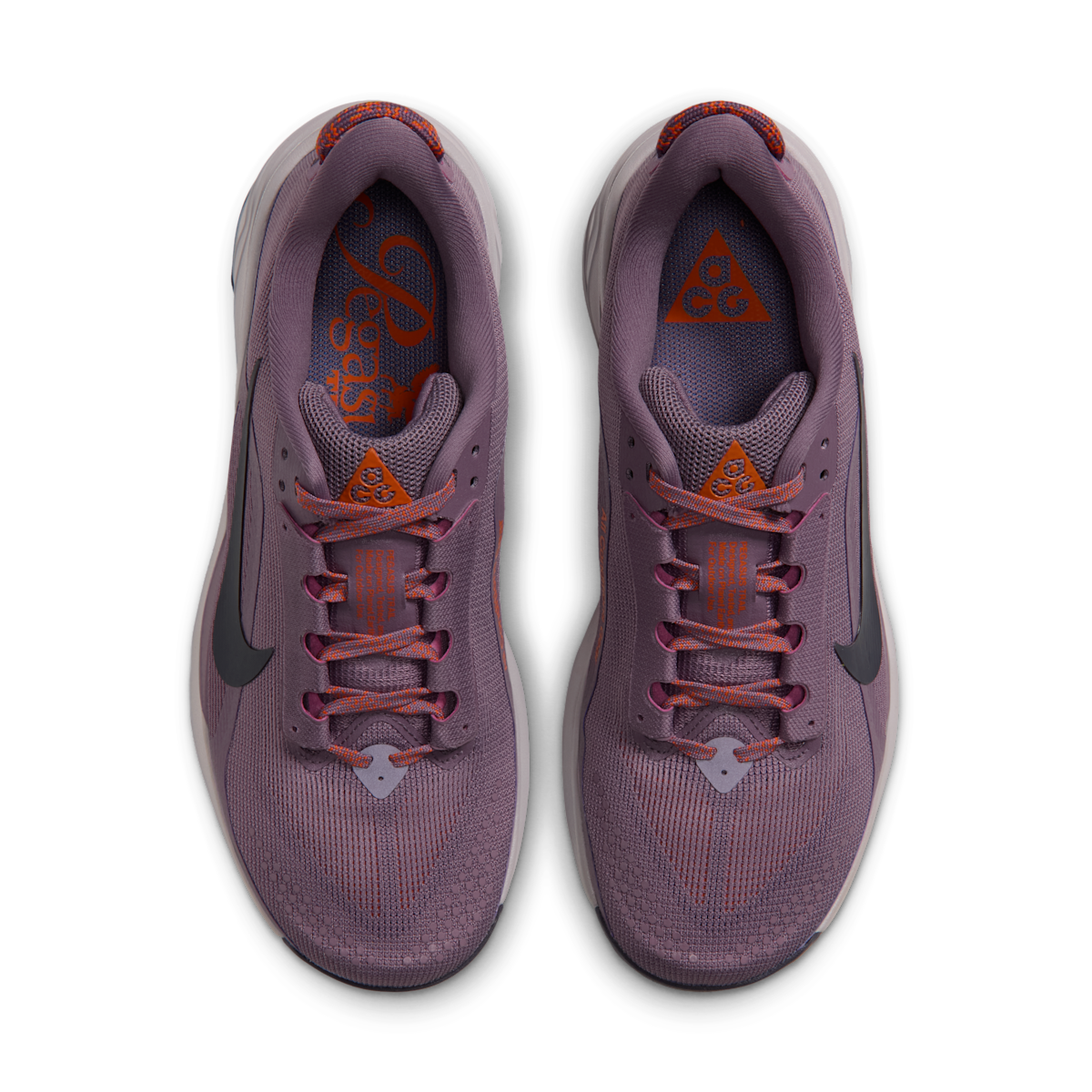 Women's  ACG Pegasus Trail Trail Running Shoes