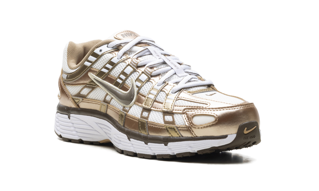 P-6000 WMNS "Sail Linen Dark Hazel" IO3496 104