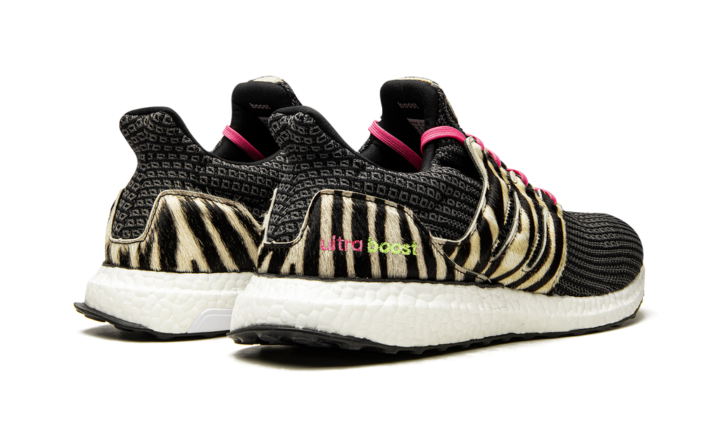 Ultraboost DNA "Animal Pack-Zebra" FZ2730