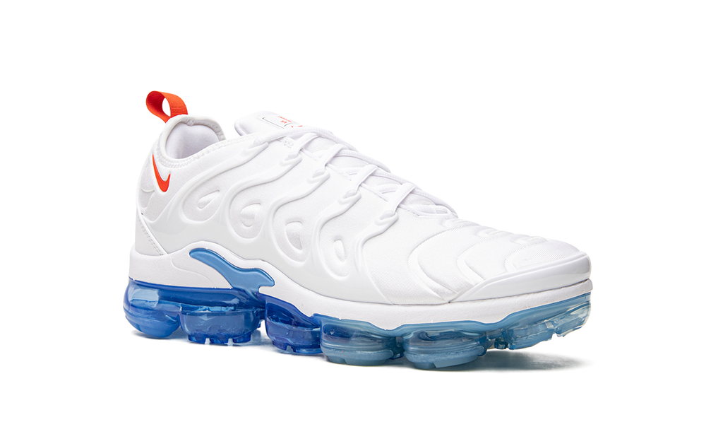 Air VaporMax Plus DV2119 100