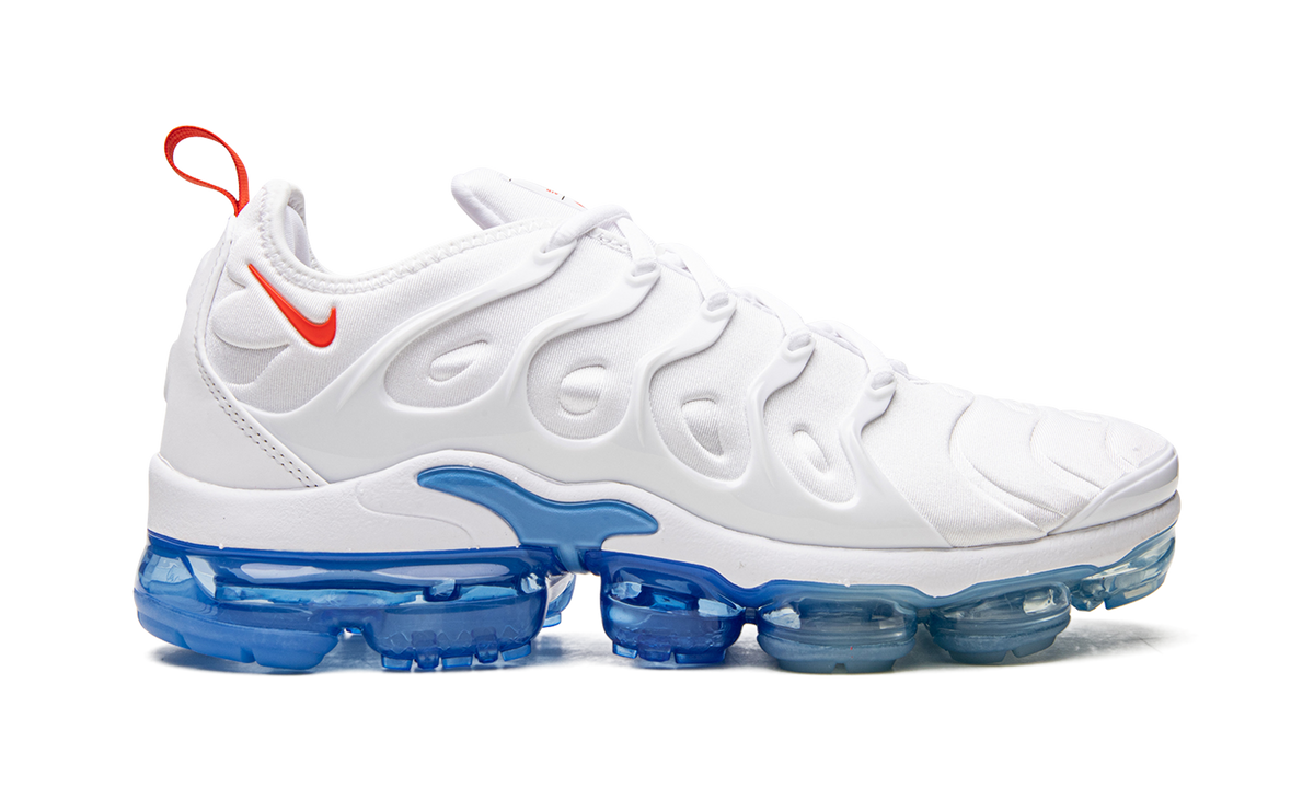 Air VaporMax Plus DV2119 100